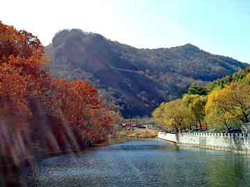 澳门精准正版免费大全14年新，柴油加油泵